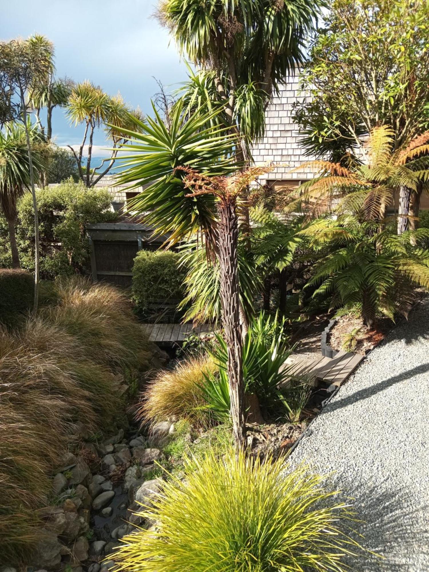 Appartamento Mount Pleasant Views Christchurch Esterno foto